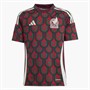 adidas Junior FMF Mexico 2024 Home Jersey Multicolor