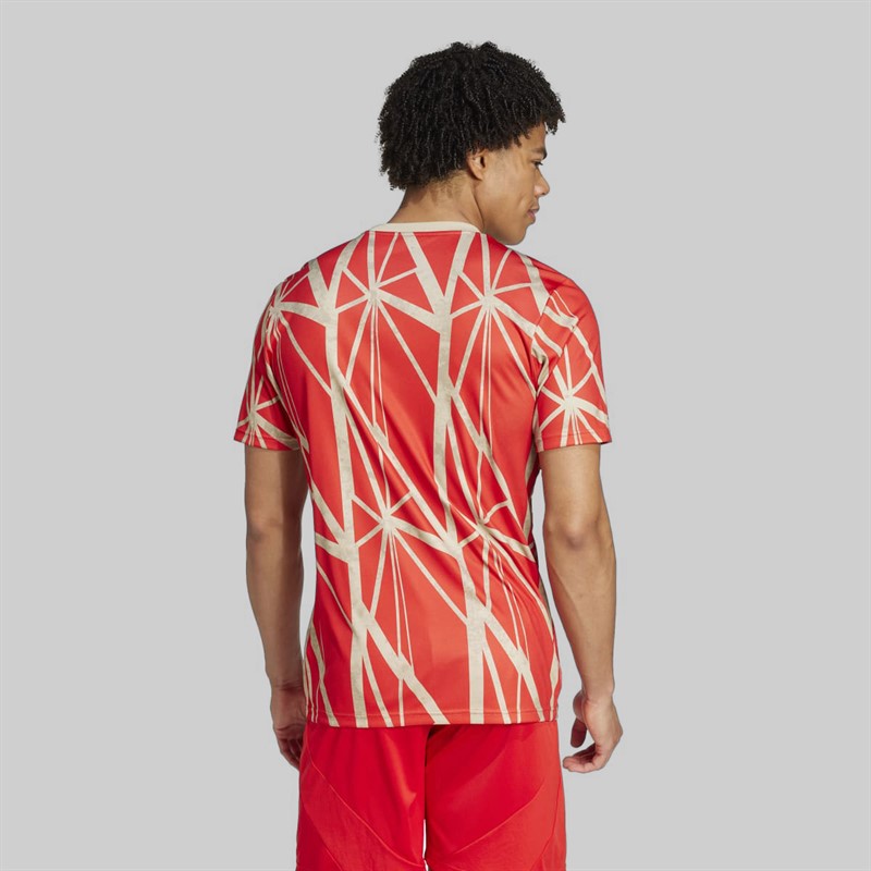 adidas Mens FCB FC Bayern 24/25 Pre-Match Jersey Red