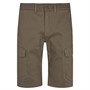 Kronstadt Heren Ryan Cargoshorts Grijs-Kaki