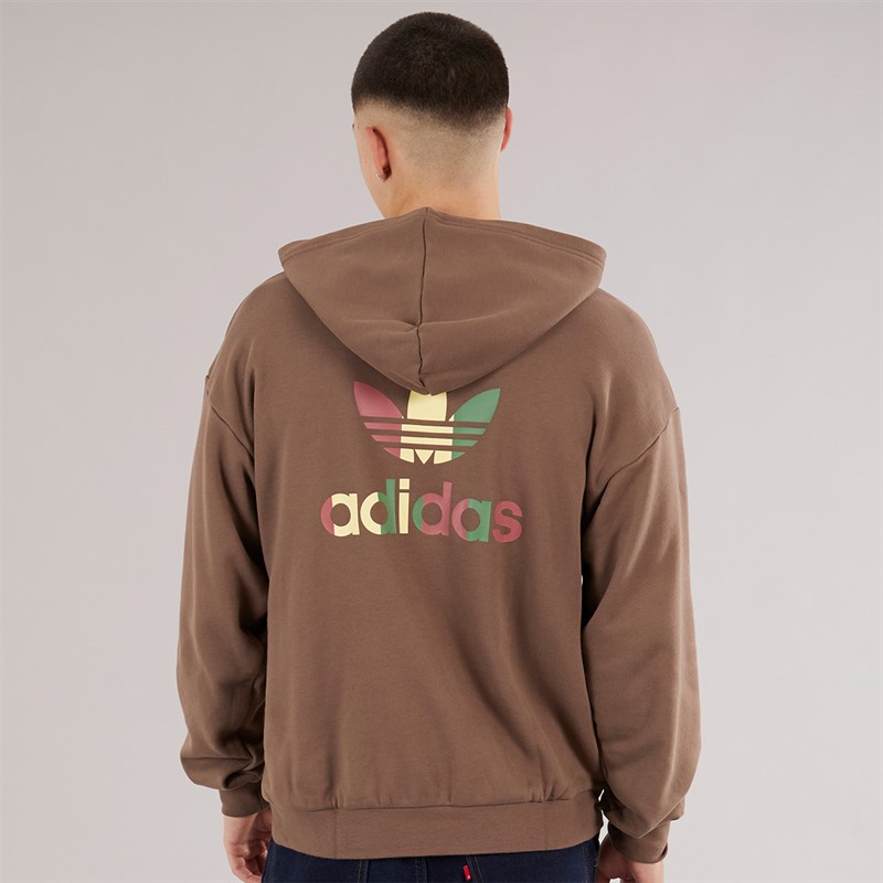 adidas Originals Mens Graphic Back Hoodie Earth Strata