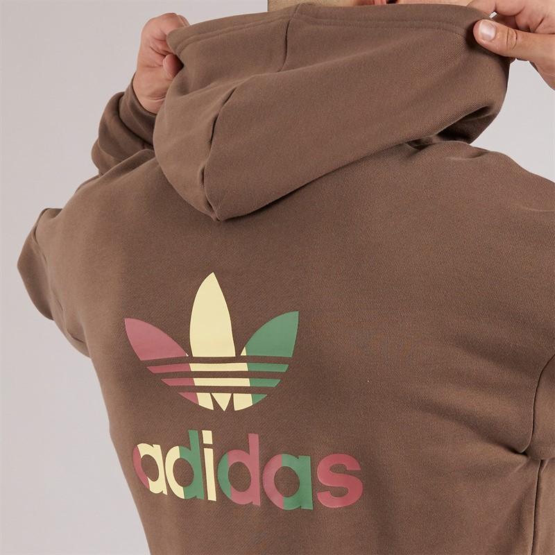 adidas Originals Mens Graphic Back Hoodie Earth Strata