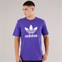 adidas Originals Mens Adidcolor Trefoil T-Shirt Energy Ink