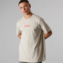 adidas Originals Mens Wabash Graphic T-Shirt Wonder Alumina