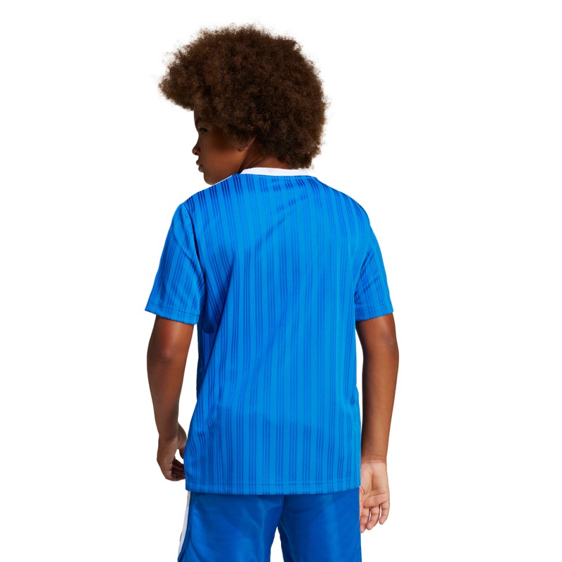 adidas Originals Junior Junge Adicolour T Shirt Blau