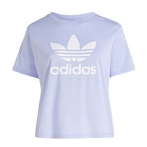 adidas Originals Dames Plus Size Adicolour Trefoil Boxy T Shirt Violet Tone
