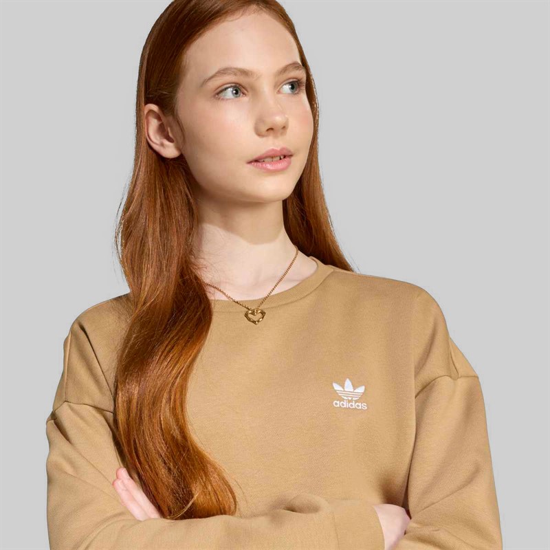 adidas Originals Junior Girls Trefoil Logo Boyfriend Fit Sweatshirt Cardboard