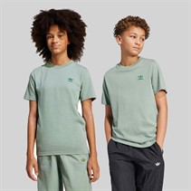 adidas Originals Junior Adicolor Trefoil Logo T-Shirt Silver Green