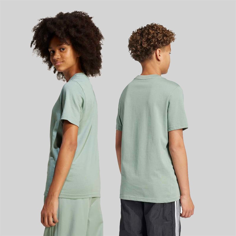 adidas Originals Junior Adicolor Trefoil Logo T-Shirt Silver Green
