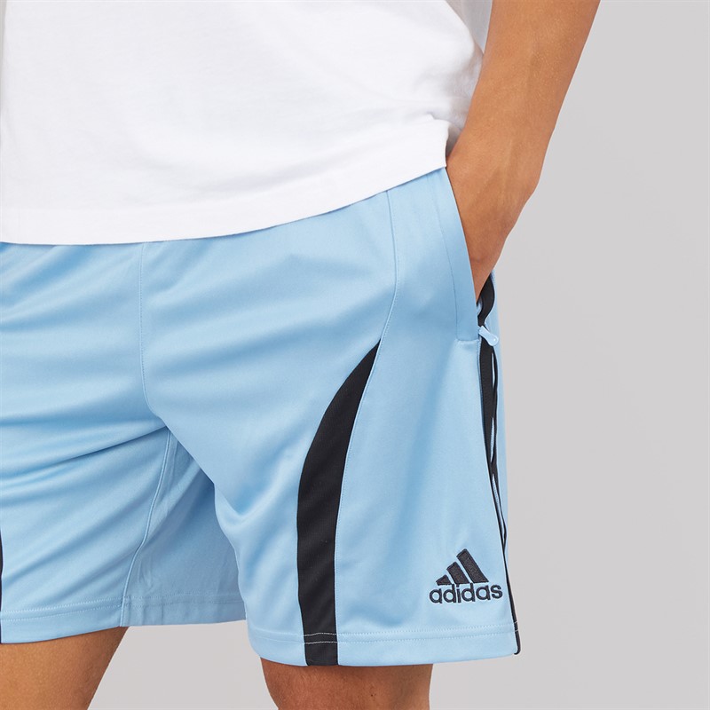 adidas Originals Mens Adicolor Teamgeist Shorts Ash Blue/Black