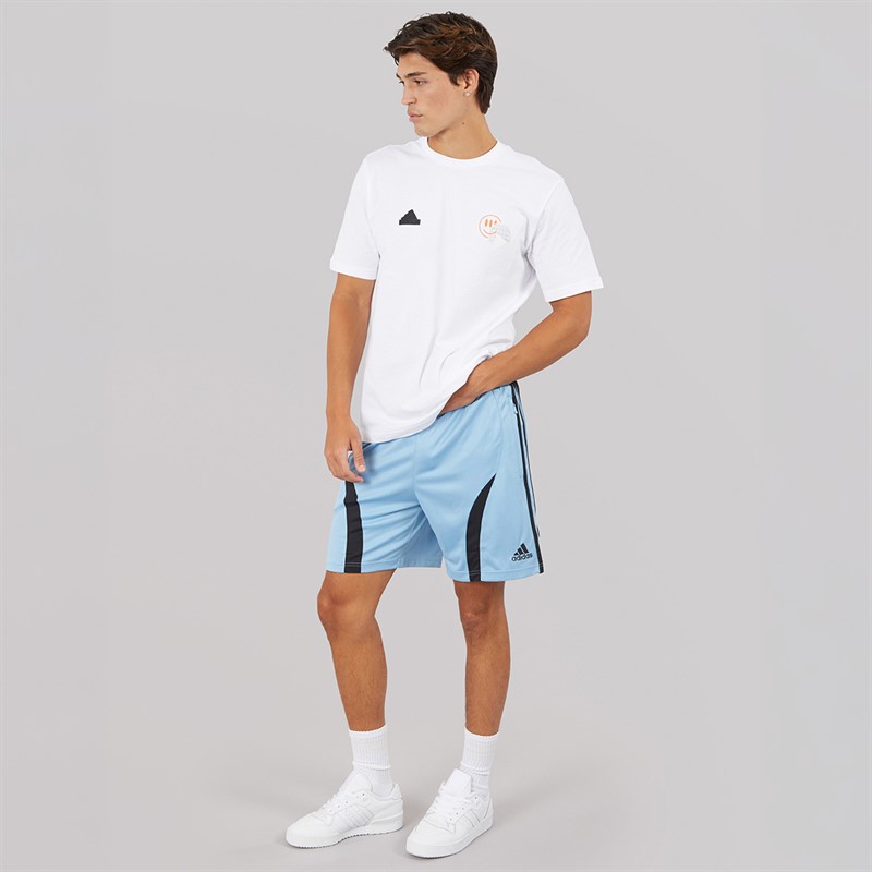 adidas Originals Mens Adicolor Teamgeist Shorts Ash Blue/Black