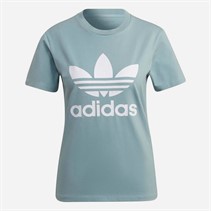 adidas Originals Damen Adicolor Classics Trefoil T Shirt Magic Grey