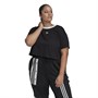 adidas Originals Damskie Crop (Plus Size) T-Shirt Czarny