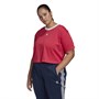 adidas Originals Damskie Crop (Plus Size) Top Różowy