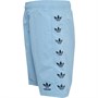 adidas Originals Junior Trefoil Swim Sport træningsbukser Blå