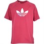 adidas Originals Junior Adicolor Graphic T-Shirt Wild Pink