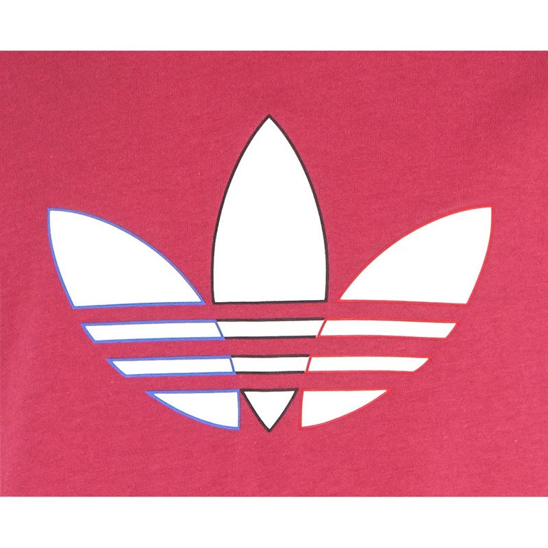 adidas Originals Junior Adicolor Graphic T-Shirt Wild Pink