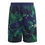 adidas Originals Børn Camo Print Afslappede shorts Flerfarvet