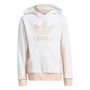 adidas Originals Sweats à Capuche Graphic Enfants Blanc