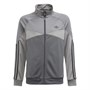 adidas Originals Kids SPRT Trainingstops Grijs
