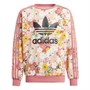 adidas Originals Kinder Her Studio London Floral Sweatshirts Mehrfarbig