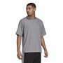 adidas Originals Herren Adicolor T-Shirts Grau