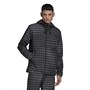 adidas Originals Vestes Légères Monogram Graphic Windbreaker Homme Noir