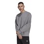 adidas Originals Herren Adicolor Sweatshirts Grau