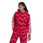 adidas Originals Womens Graphic Hoodie Vivid Red/Team Real Magenta