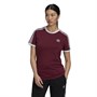 adidas Originals Damen 3-Stripes Adicolor T-Shirts Rot