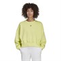 adidas Originals Dame Adicolor Essentials Sweatshirts Gul