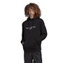 adidas Originals Sweats à Capuche Graphics Common Memory Homme Noir
