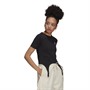 adidas Originals Dame Always Original Overdele Sort