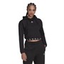 adidas Originals Womens Cropped Hoodie Black