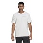 adidas Originals Herren Sports Club T-Shirts Weiß