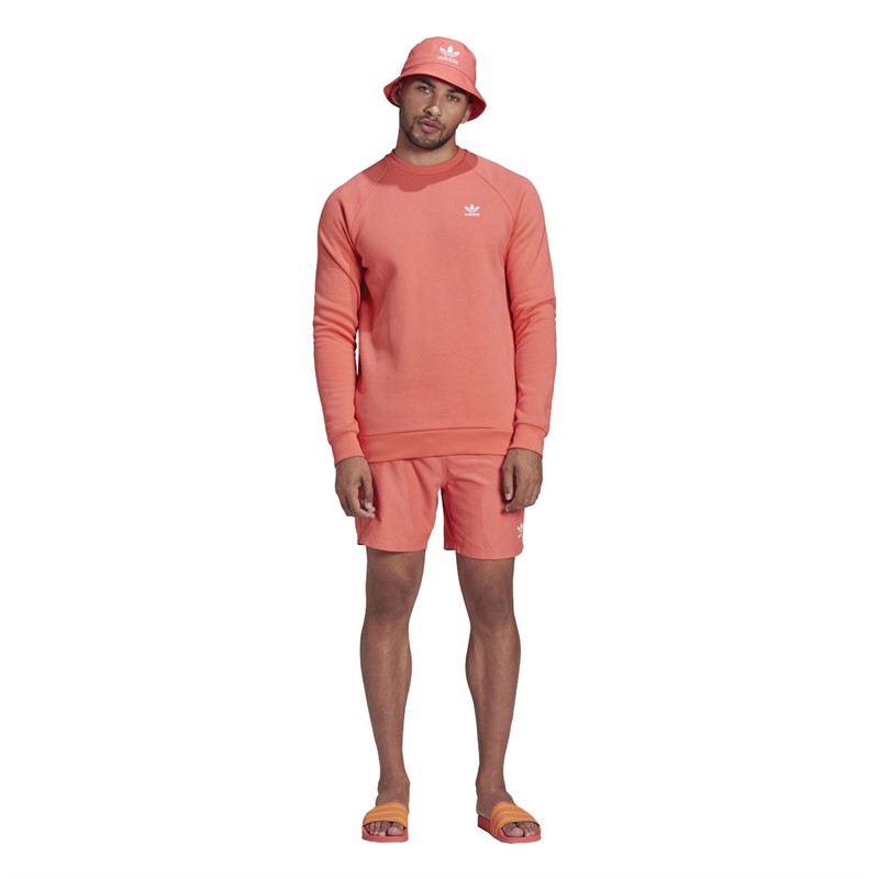 adidas Originals Herren Adicolor Essentials Trefoil Sweatshirts Orange