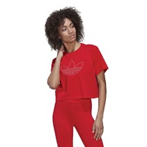 adidas Originals Womens Crop Long-Sleeve Top Vivid Red