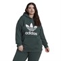 adidas Originals Womens Trefoil Hoodie (Plus Size) Mineral Green