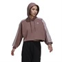 adidas Originals Womens Adicolor Classics Crop Hoodie Purple