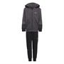 adidas Originals Boys adidas Sprt Collection Hoodie Set Grey Five/Carbon