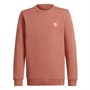 adidas Originals Junior Girls Adicolor Sweatshirt Magic Earth