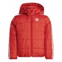 adidas Originals Boys Adicolor Padded Hooded Jacket Vivid Red