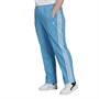 adidas Originals Womens Adicolour Classics Firebird Track Pants (plus Size) App Sky Rush
