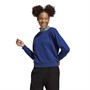 adidas Originals Dame Women Ribbed Collar Sweatshirts Blå