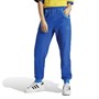 adidas Originals Womens Adicolor 70S Sweat Pants Collegiate Royal