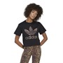 adidas Originals Womens Trefoil Logo T-Shirt Black