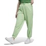 adidas Originals Womens Sweat Pants Glory Mint