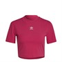 adidas Originals Womens Adicolor Essentials Rib Crop Top Real Magenta