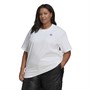 adidas Originals Womens Always Original Logo Graphic T-Shirt (Plus Size) White