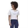adidas Originals Womens Trefoil Graphic Crop Top White