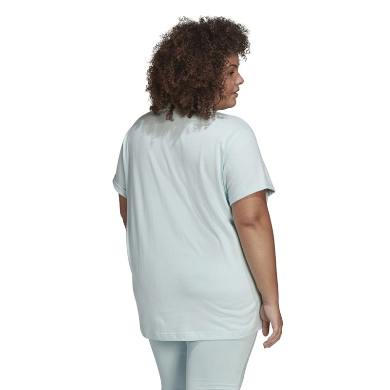 adidas Originals Womens Trefoil Graphic T-Shirt Halo Mint